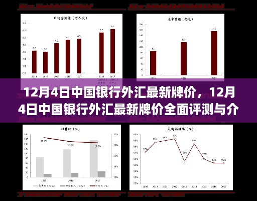 中国银行外汇最新牌价评测与介绍，全面解读十二月四日汇率动态