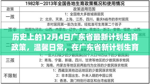 广东省新计划生育政策下的喜悦与陪伴，历史视角下的温馨日常