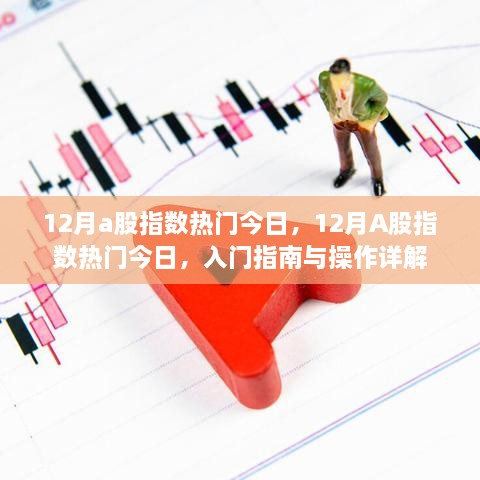 12月A股指数热门解析，入门指南与操作详解