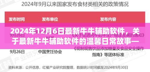 技术与友情的温馨交融，最新牛牛辅助软件的奇妙日常故事（2024年12月6日）