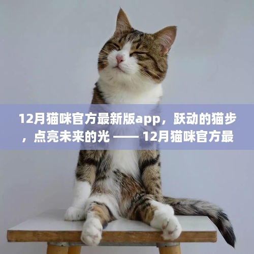 跃动猫步，点亮未来，12月猫咪官方最新版app带你走向自信与成就之路