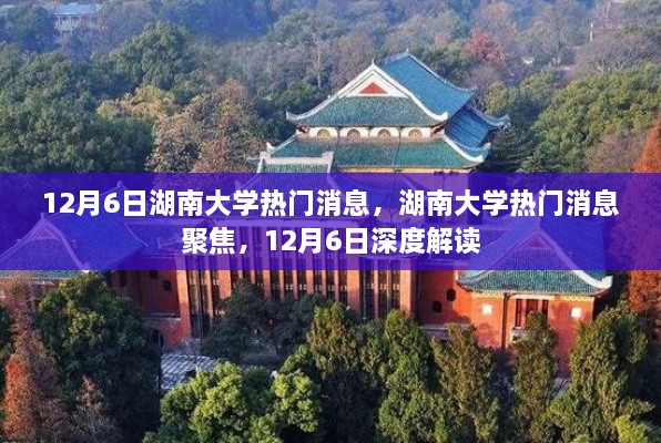 湖南大学热门消息深度解读，聚焦最新动态（12月6日）