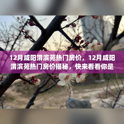 12月咸阳渭滨苑热门房价，12月咸阳渭滨苑热门房价揭秘，快来看看你是否心动！