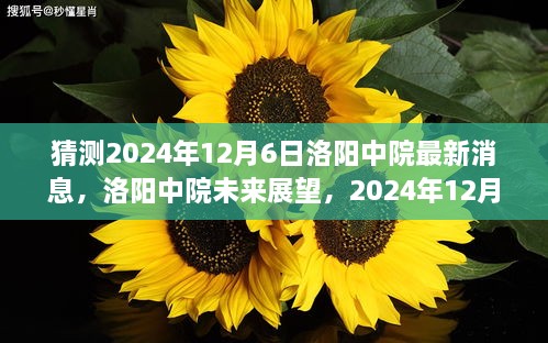 独家解析，洛阳中院未来展望与影响，预测2024年12月6日最新动态