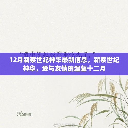 新蔡世纪神华十二月最新动态，爱与友情的温馨传递