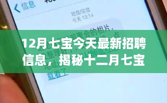 12月七宝今天最新招聘信息，揭秘十二月七宝最新科技招聘信息，引领智能生活新纪元！