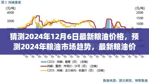 2024年12月7日 第17页