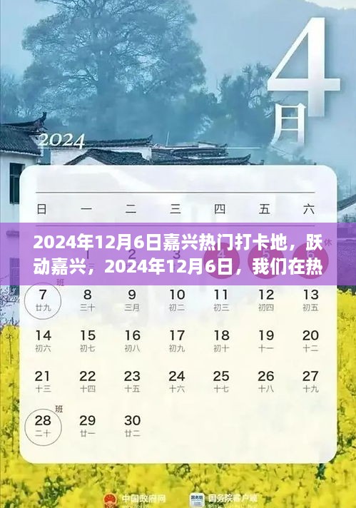 跃动嘉兴，见证成长的力量，热门打卡地2024年12月6日纪实