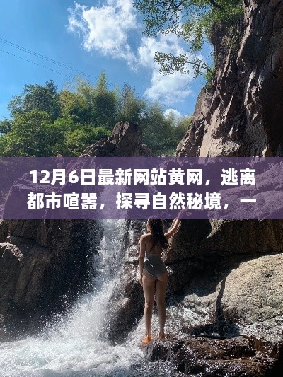 探寻自然秘境，心灵之旅启示录——最新黄网带你逃离都市喧嚣