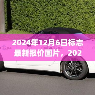 2024年12月6日标志最新报价图片及市场观察与个人观点分析