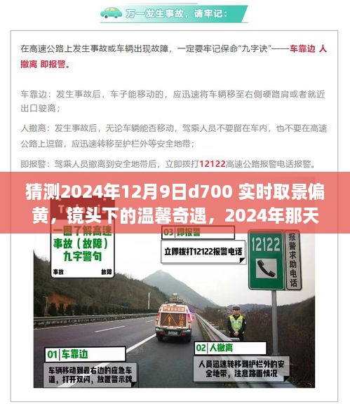 2024年D700镜头下的黄调奇遇，时光中的温馨瞬间