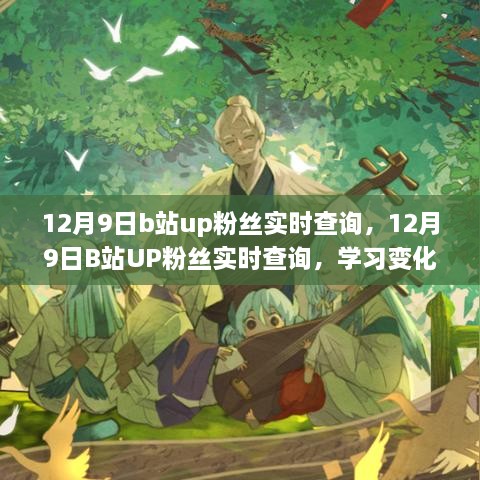 12月9日b站up粉丝实时查询，12月9日B站UP粉丝实时查询，学习变化，自信成就梦想，粉丝见证荣耀时刻