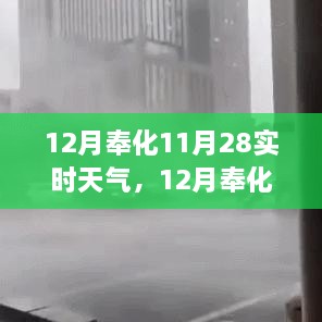 奉化最新实时天气分析与预测，12月天气实时更新