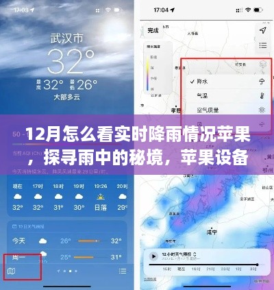 苹果设备带你探寻雨秘境，12月实时降雨下的自然魔法体验