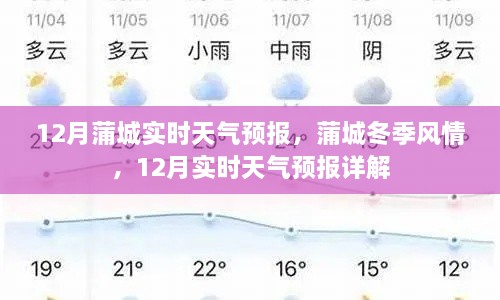 蒲城冬季风情与实时天气预报详解，12月天气预报深度解析