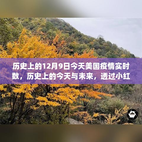 透过小红书看美国疫情实时数，历史与未来视角下的12月9日篇