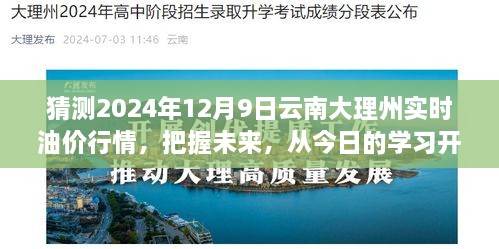 2024年云南大理州油价行情预测，把握未来，今日学习启示