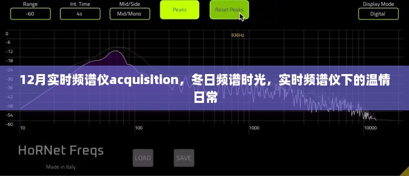 实时频谱仪下的冬日温情时光