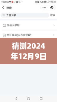 2024年技师上门接单平台实时定位功能展望，行业洞察与12月9日预测