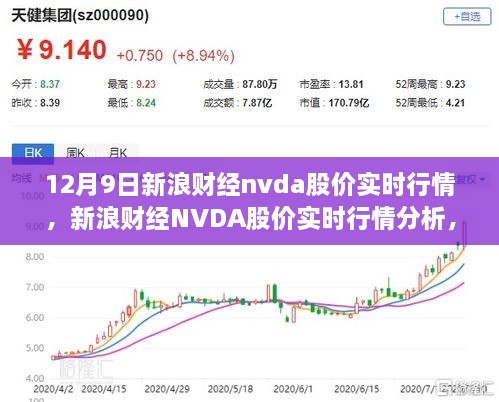 2024年12月10日 第46页