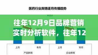 往年12月9日品牌营销实时分析软件，应用进阶与案例分析探索