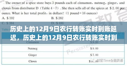 农行历史上的12月9日转账实时到账延迟原因解析与探究