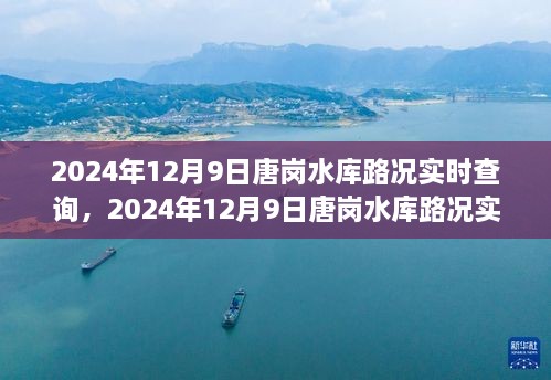 2024年12月9日唐岗水库路况实时查询指南，轻松掌握查询技能