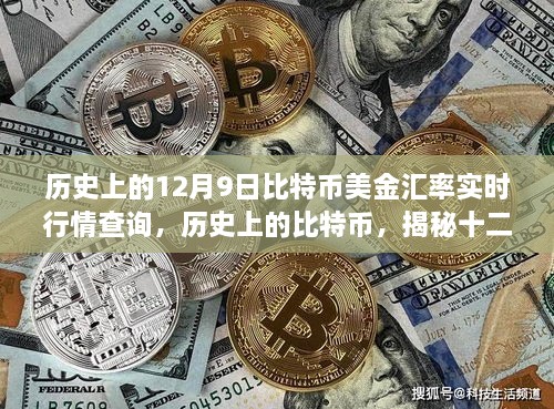 揭秘比特币美金汇率波动轨迹，历史上的十二月九日实时行情查询与分析