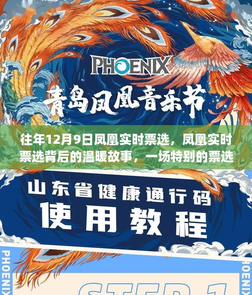 凤凰实时票选之旅，背后的温暖故事与特别之旅