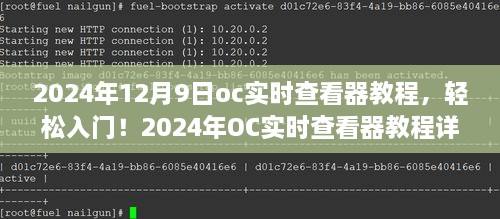 2024年OC实时查看器教程详解，入门指南