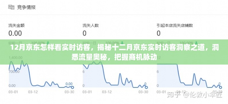 揭秘十二月京东实时访客洞察，洞悉流量奥秘，把握商机脉动之道！