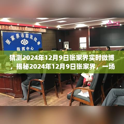 揭秘张家界自然之旅，心灵觉醒的微博实时记录，2024年12月9日张家界见闻分享