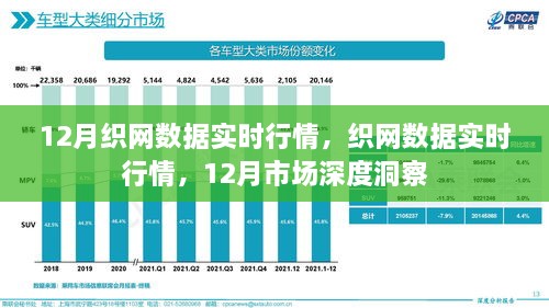 12月织网数据实时行情深度解析，市场洞察与趋势预测