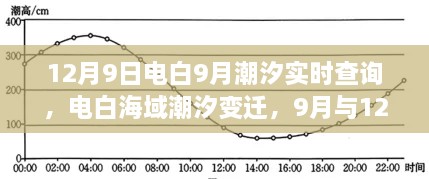 电白海域潮汐变迁纪实，9月与12月潮汐实时查询对比分析