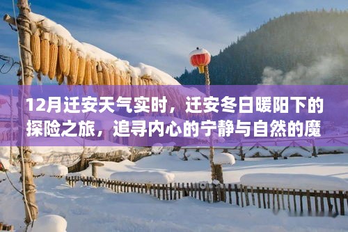 迁安冬日暖阳下的探险之旅，追寻内心宁静与自然的魔法，实时天气预报解读