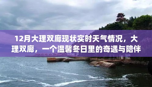 12月大理双廊，冬日奇遇与陪伴的实时天气指南