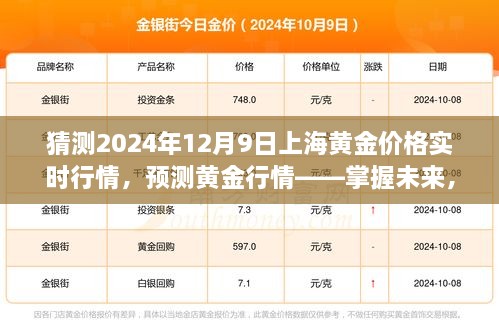 掌握未来黄金行情，2024年12月9日上海黄金价格实时行情分析与预测