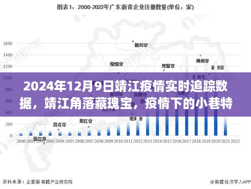 靖江疫情实时追踪与角落美食秘境探索，疫情下的美食秘境追踪报告