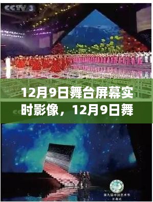 2024年12月10日 第25页