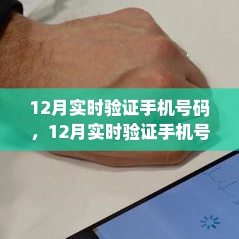 12月实时验证手机号码，保障信息安全的重要步骤