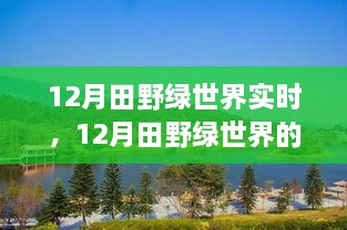 12月田野绿世界，实时观察现实挑战与观点碰撞