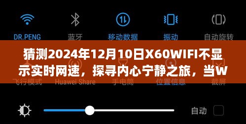 山水间隐匿WiFi网速，X60奇幻之旅探寻内心宁静