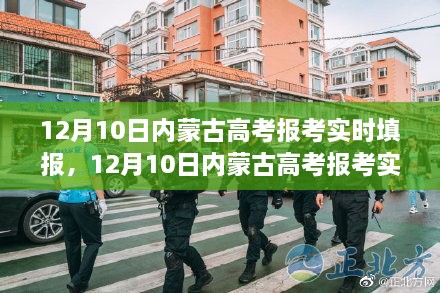 内蒙古高考报考实时填报系统详解与评测，12月10日填报指南