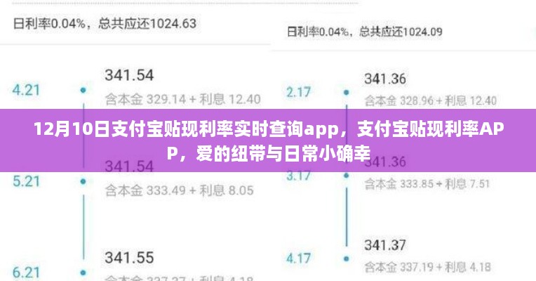 支付宝贴现利率实时查询APP，爱的纽带与日常小确幸的交汇点