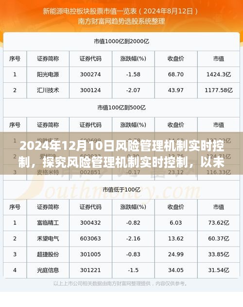 未来视角，探究风险管理机制实时控制，展望2024年风险管理发展