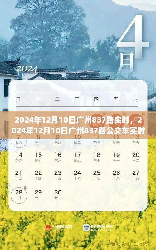 2024年广州837路公交车实时动态，出行必备参考