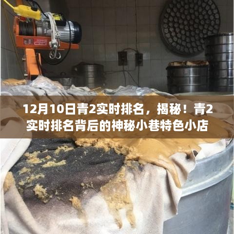 揭秘青2实时排名背后的神秘小巷特色小店，12月10日最新排名揭晓