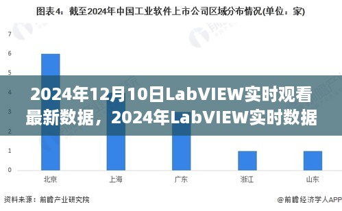 2024年12月10日 第13页