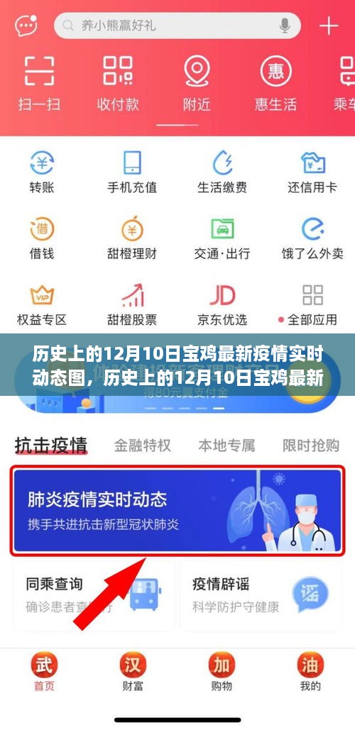 历史上的12月10日宝鸡疫情实时动态图，全面解读、体验与目标用户群体解析