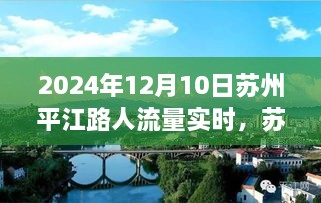 2024年12月10日 第7页